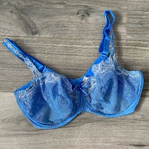 Prima Donna bra. Size 36E. Light blue with white lace detail.